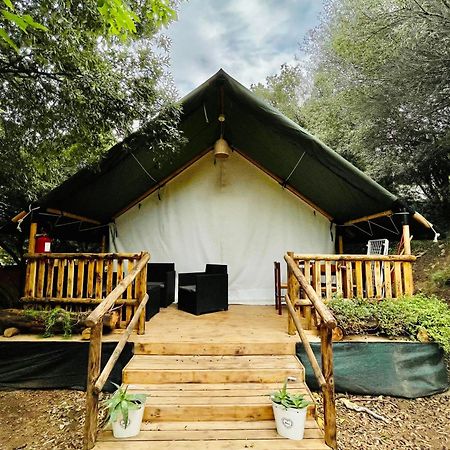 New Camping Coccorrocci Marina di Gairo Luaran gambar
