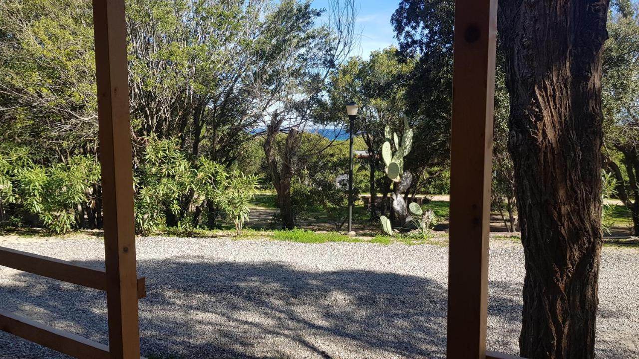 New Camping Coccorrocci Marina di Gairo Luaran gambar