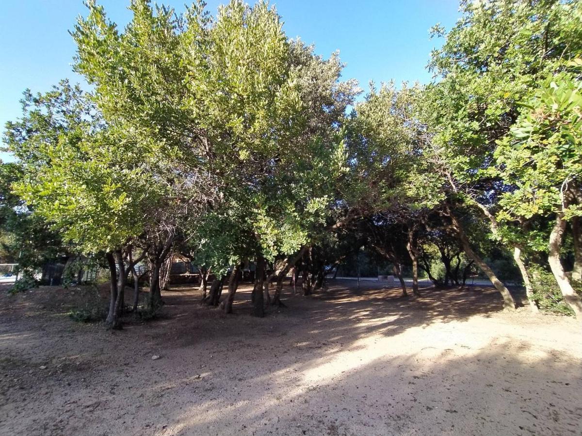New Camping Coccorrocci Marina di Gairo Luaran gambar