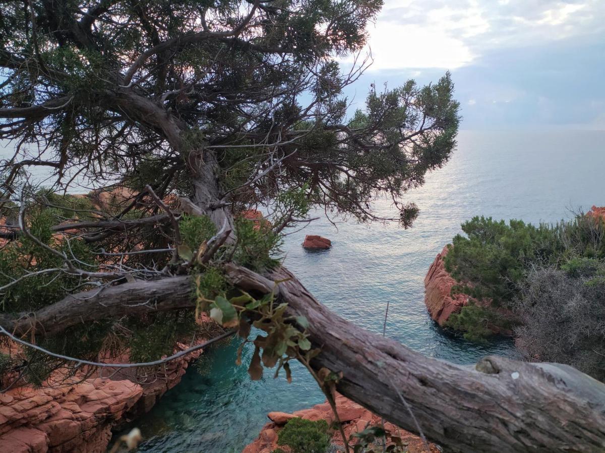New Camping Coccorrocci Marina di Gairo Luaran gambar